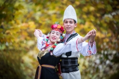 NUFI-2019-110
